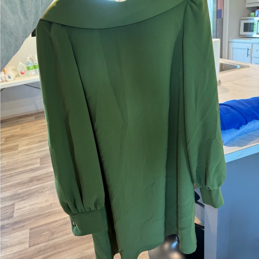Alex Marie Olive Green Dress